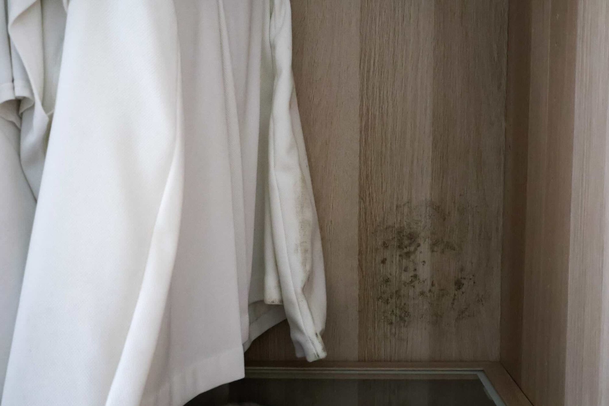 Plíseň ve skříni: Příčiny, odstranění a dlouhodobá prevence